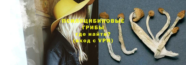 соль ск Абаза