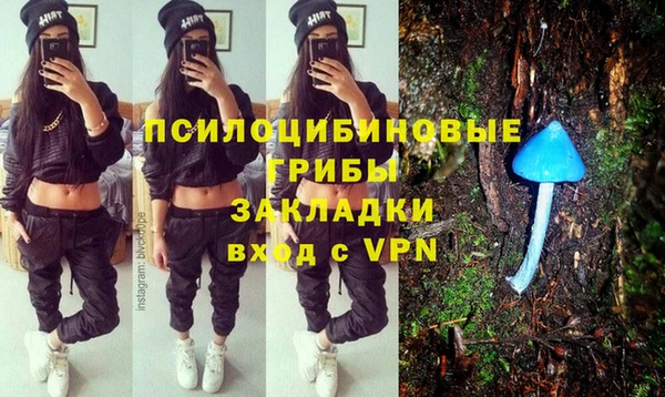 соль ск Абаза