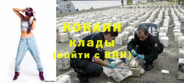 соль ск Абаза